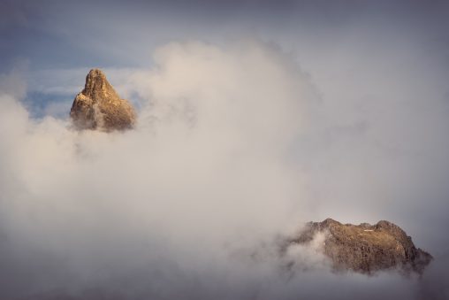 Particolare delle Pale di San Martino