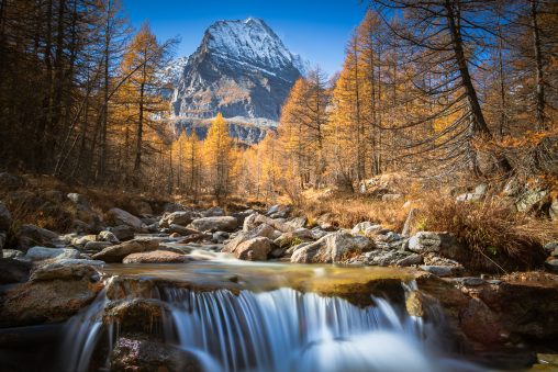 Panorama autunnale di larici in montagna