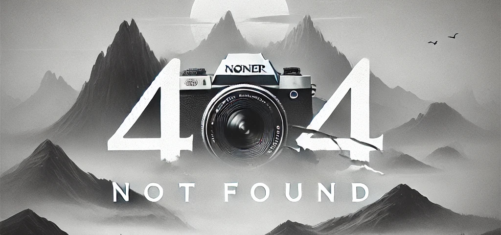 404 landscape theme grayscale